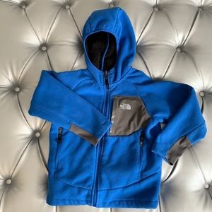 The North Face Boy's Chimborazo Hoodie